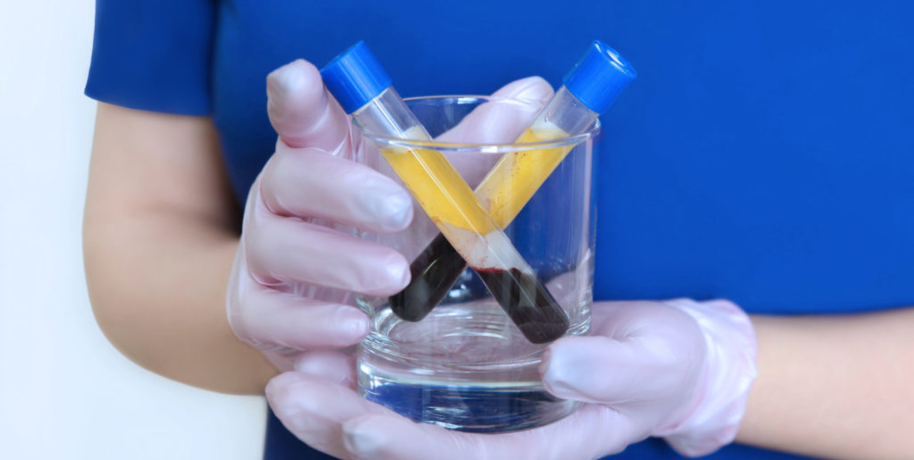 La primera medicina basada en plasma de pacientes recuperados inicia la fase clave