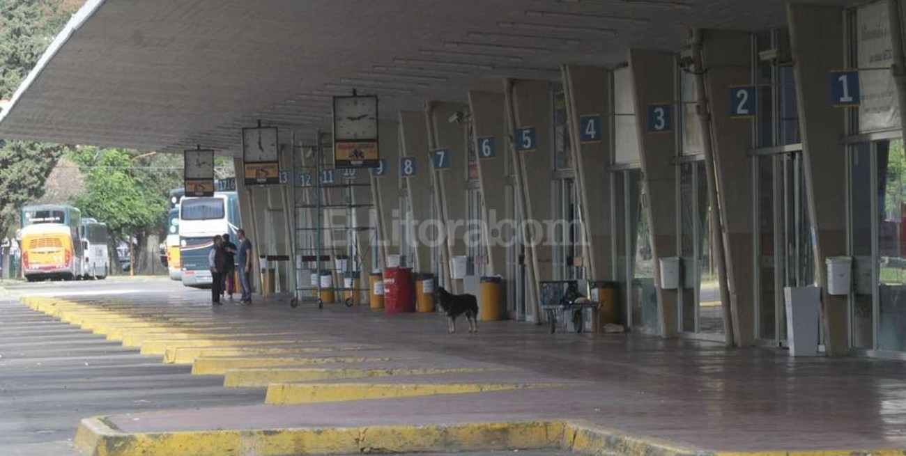 Anuncian paro de transporte de larga de distancia