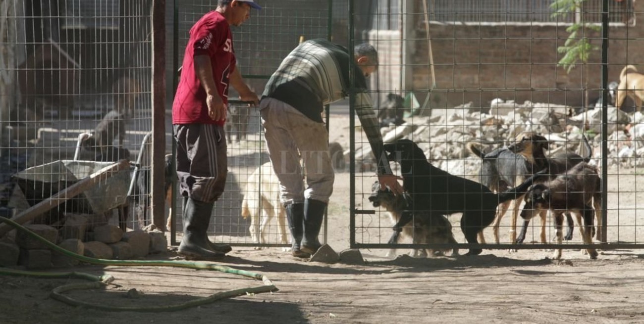 Ya tiene predio propio la Sociedad Protectora de Animales de la ciudad