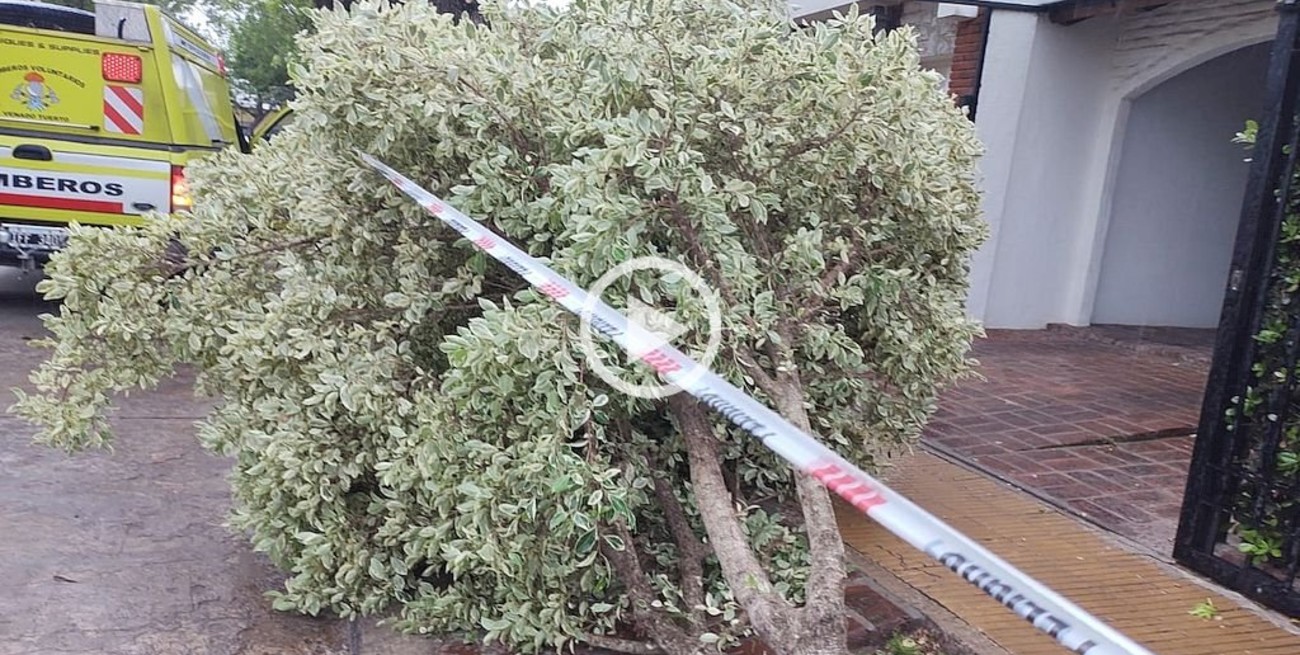 Video: el temporal de viento dejó varios árboles caídos en las calles de Venado Tuerto
