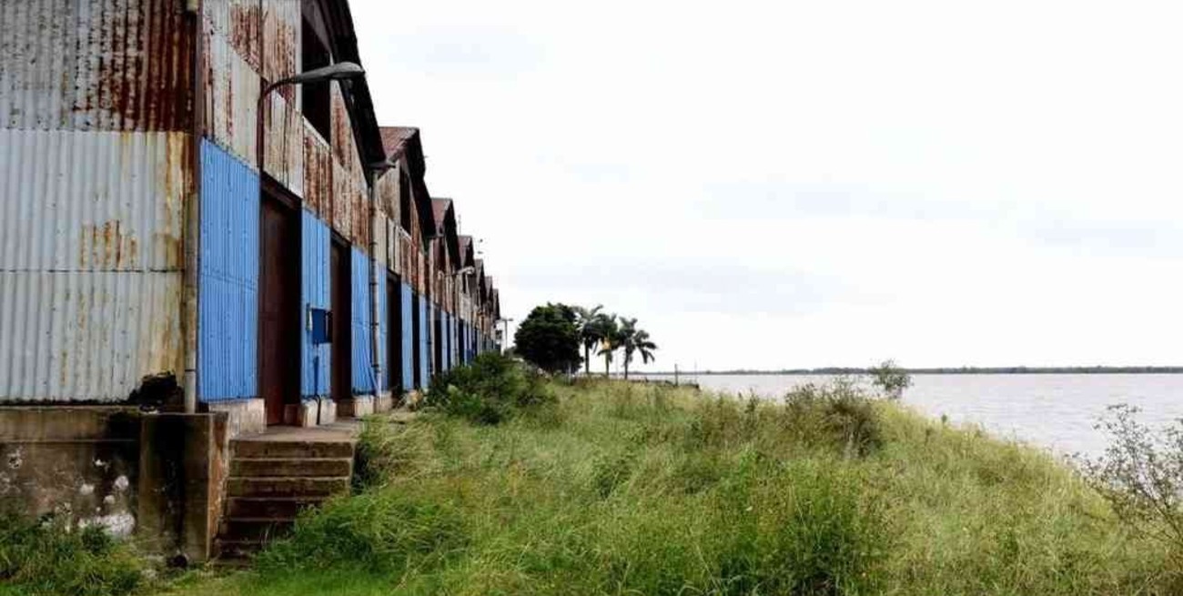 Los motivos detrás del proyecto que busca que Rosario tome posesión absoluta de un terreno estratégico