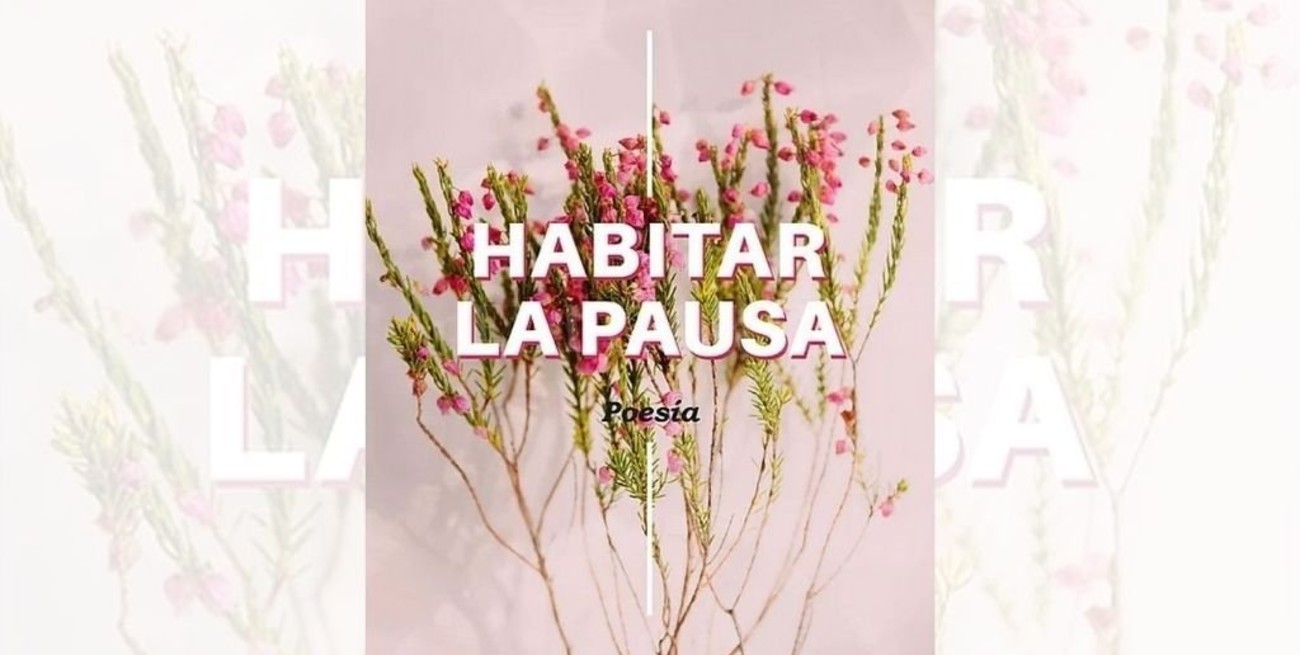 Habitar la pausa