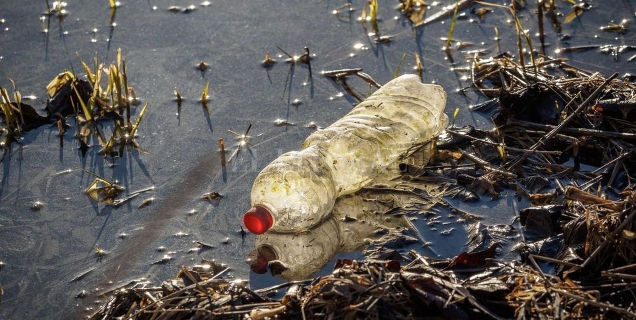 Del Río Paraná a Europa: la contaminación plástica no entiende de fronteras políticas