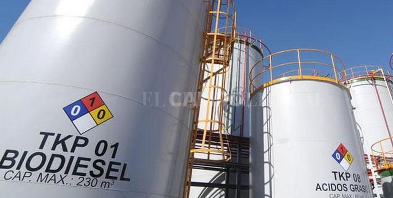 Nación confirmó que apuesta a una nueva ley de biocombustibles