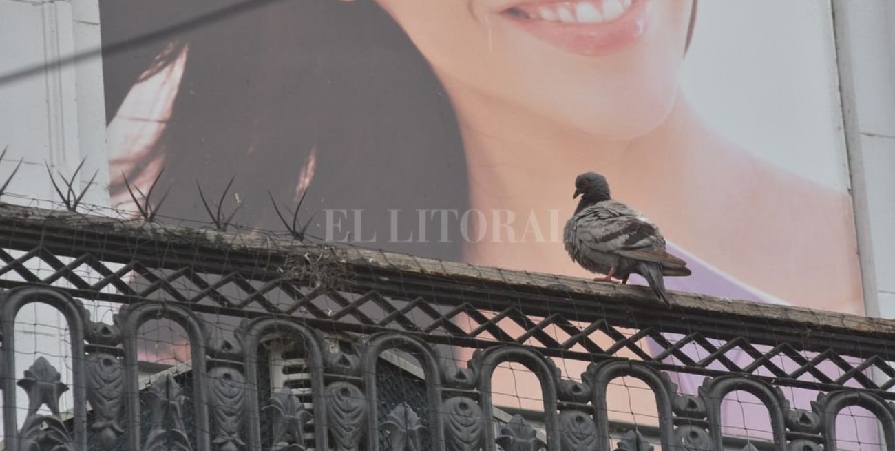 Línea directa: "motos sin patente", "conductas antisociales" y otros mensajes