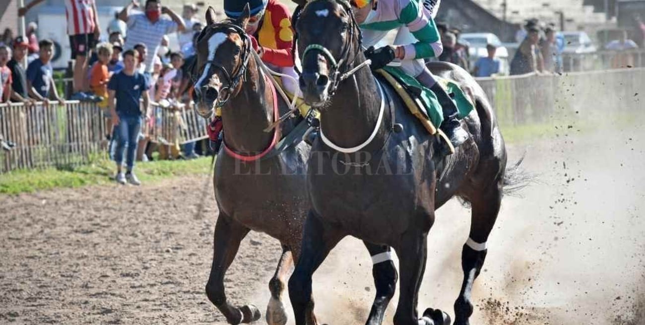 Vans Joy voló más alto que Che Gaviota  