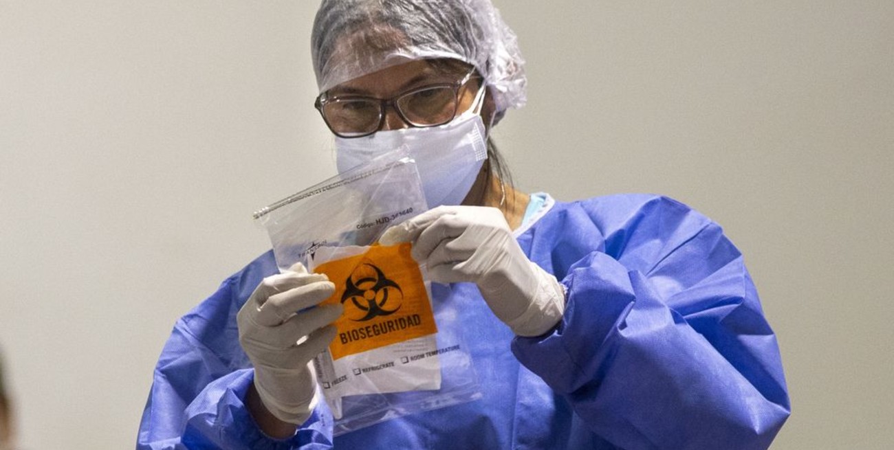 Coronavirus en Argentina: reportaron 78.121 casos y 281 muertes, la máxima desde agosto