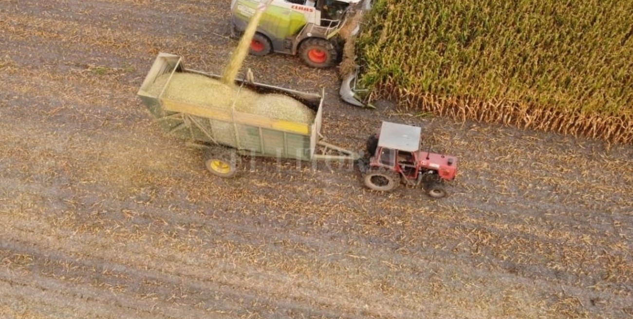 El Gobierno de Santa Fe convoca a la Comisión Provincial de Emergencia Agropecuaria