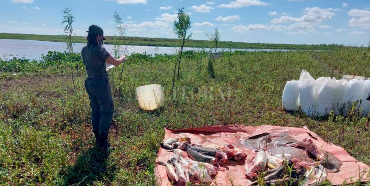 Decomisaron más de 800 pescados a la vera del Río San Javier