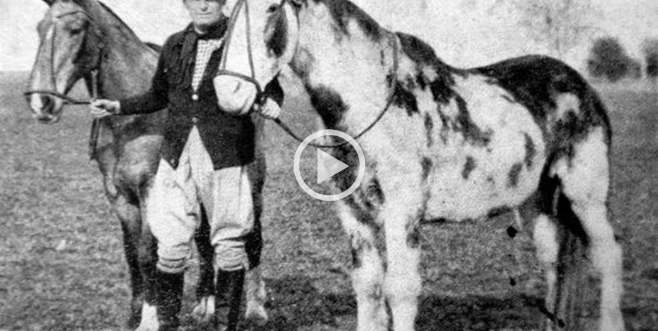 Día Nacional del Caballo: a 90 años de la hazaña de Gato y Mancha