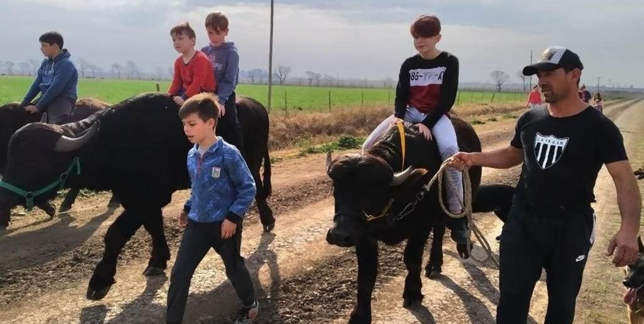 Diputados reconocerá la terapia con búfalos para niños con autismo