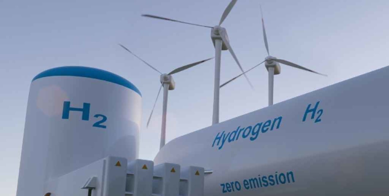 Hidrógeno verde en la Argentina y los Países Bajos