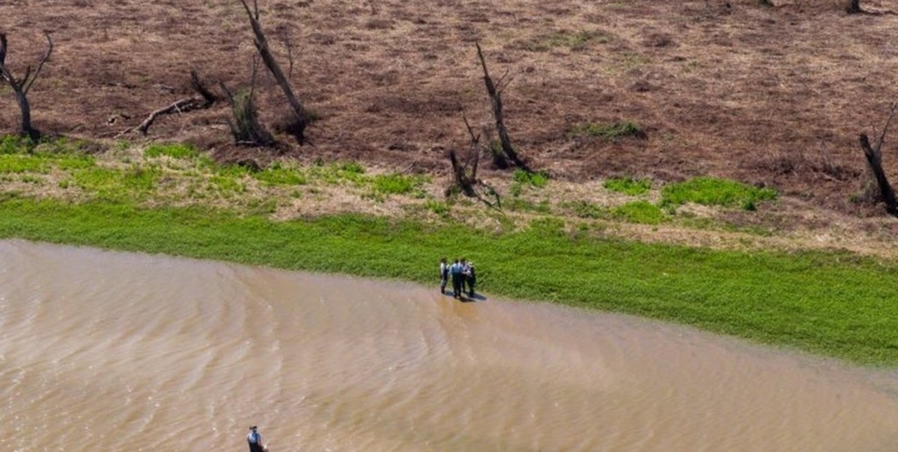 Recuperación del humedal: lo que el fuego se llevó