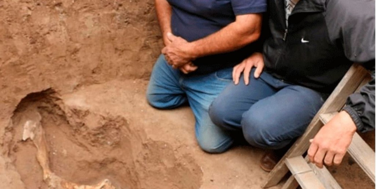 Video: hallan huesos de animales mientras cavaban un pozo negro