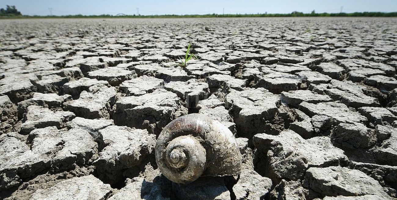 Línea directa: "responsable, se busca"; " Santa Fe ha cambiado" y otros mensajes