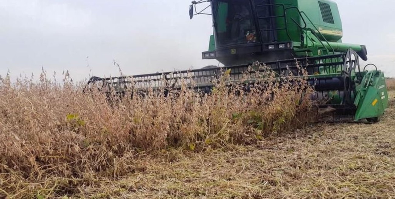 El centro-norte provincial aportó U$S 472,7 millones