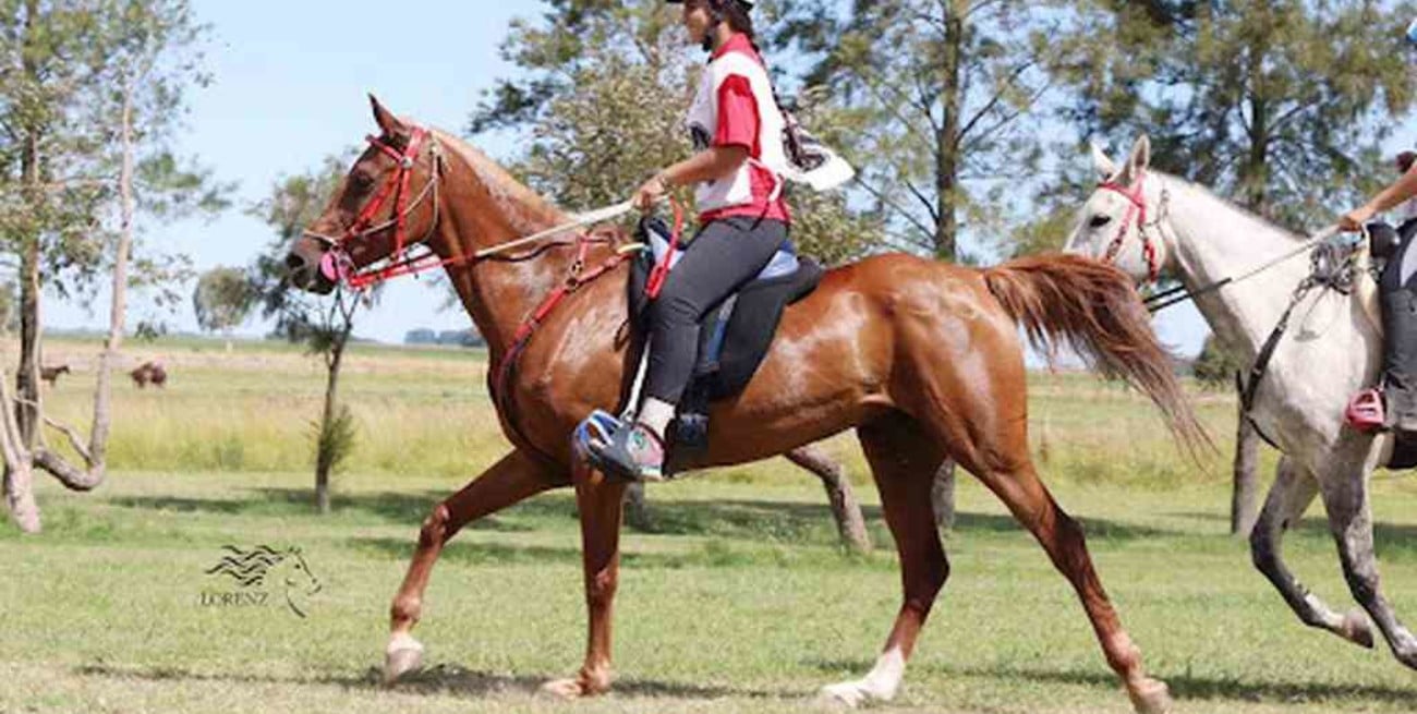 Endurance a caballo para principiantes
