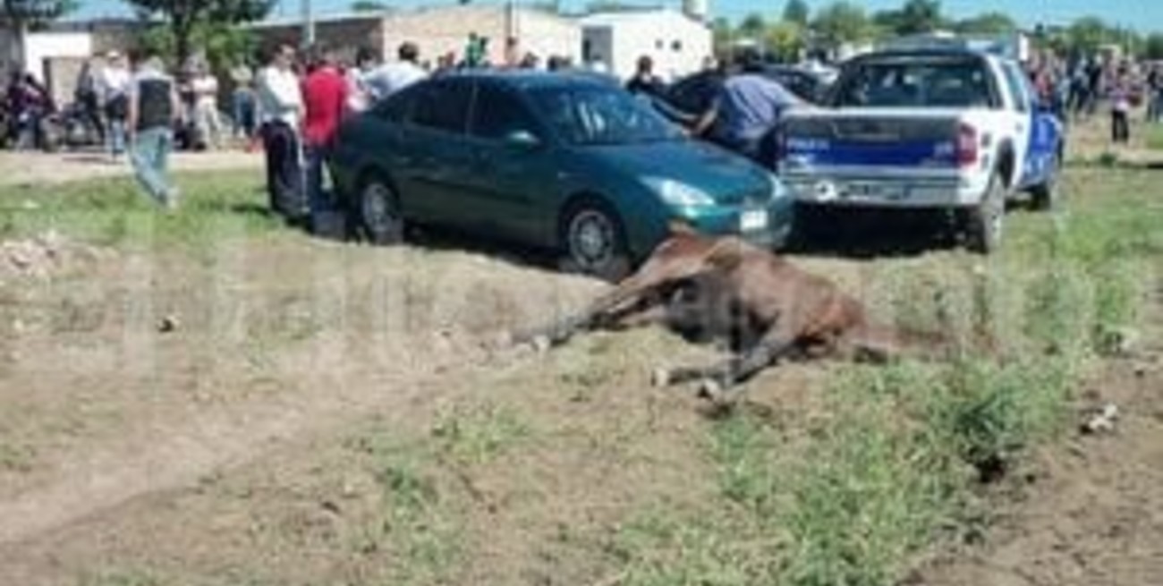 Murió tras chocar su moto contra un caballo de carreras en la localidad de Avellaneda