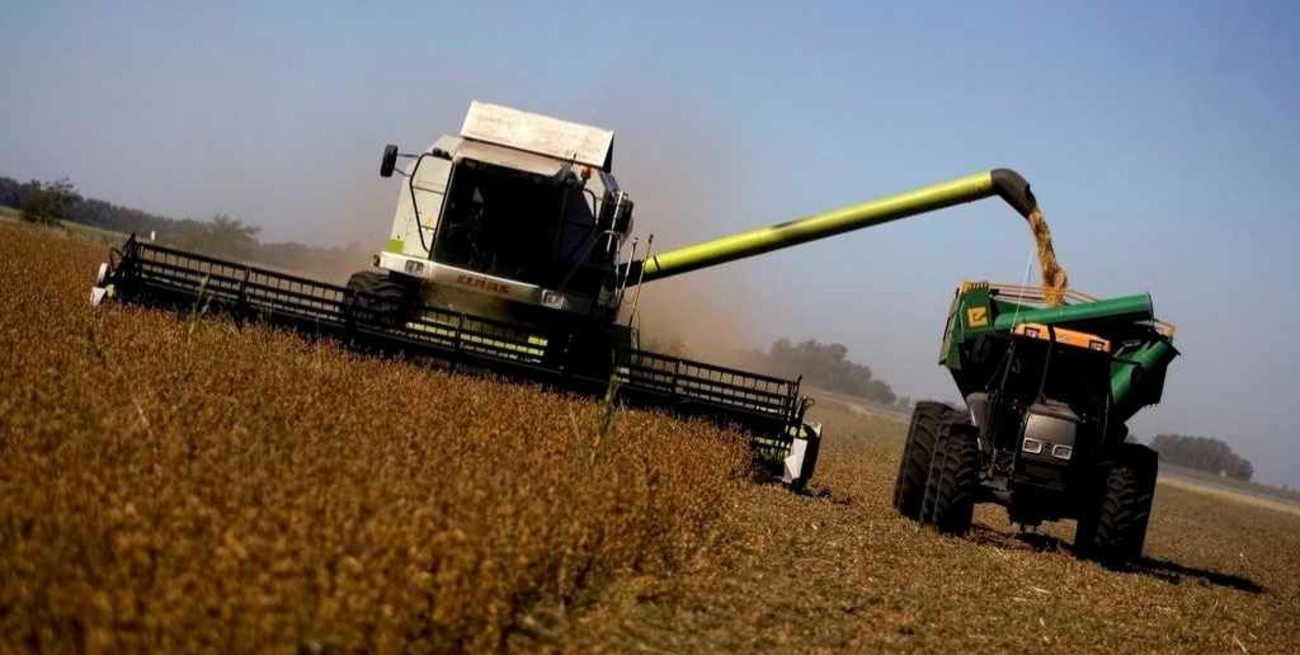 Soja: avanza la cosecha con rindes variables