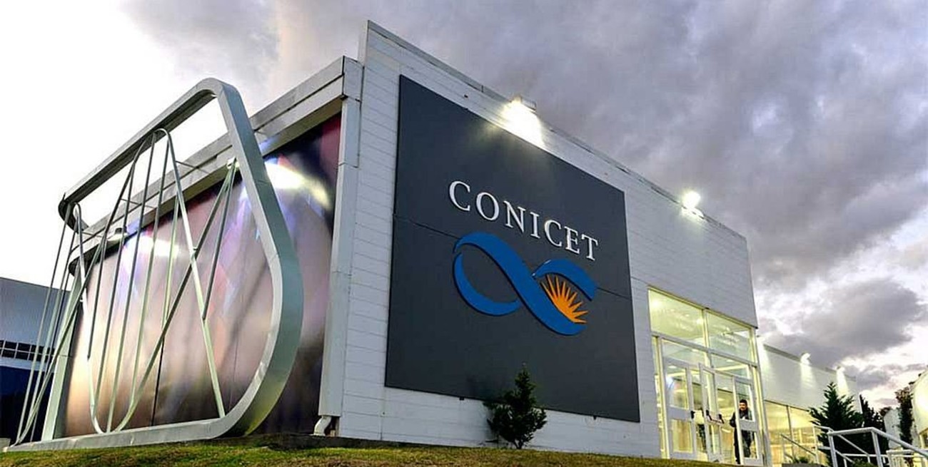 Coronavirus en Argentina: una investigadora del Conicet tiene un pronóstico "alentador" para 2022