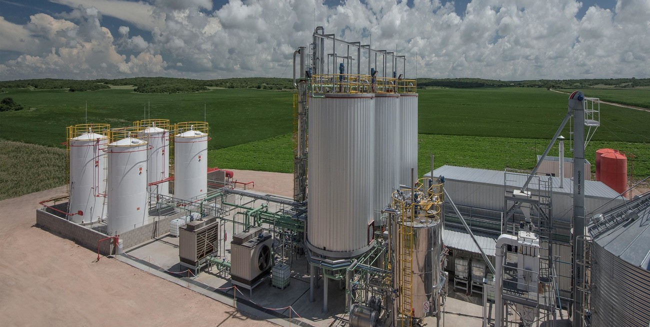 Promueven acciones para consolidar el desarrollo de biocombustibles y bioenergías en Córdoba