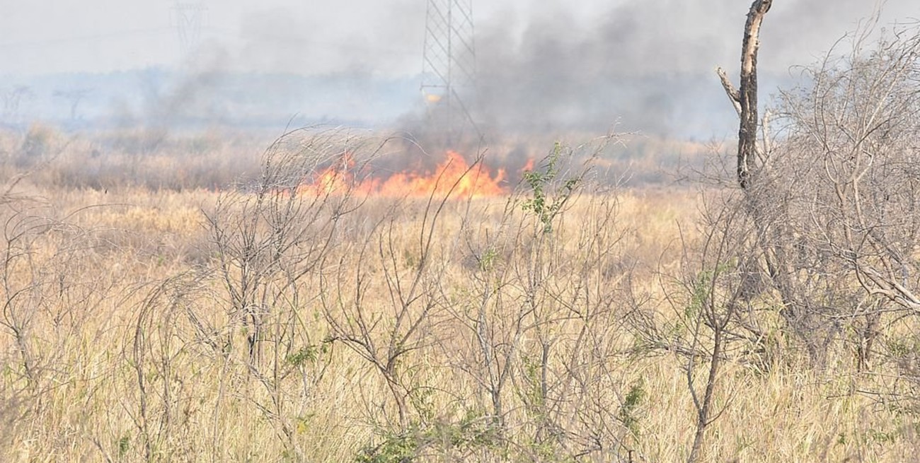 Volvió el fuego a Santa Fe: se reportaron llamas cerca de la Ruta Nacional 168