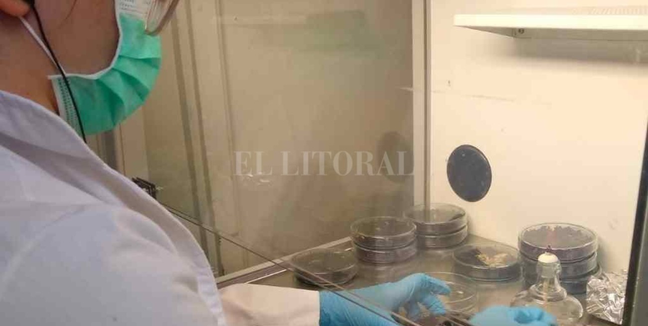 2021, el año del despegue científico tecnológico