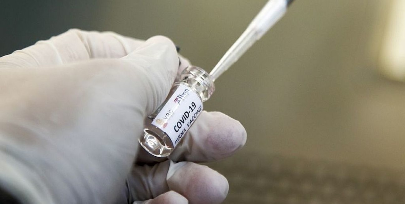 Qué es la mielitis transversa, la enfermedad por la cual se frenaron las pruebas de la vacuna contra el Covid-19