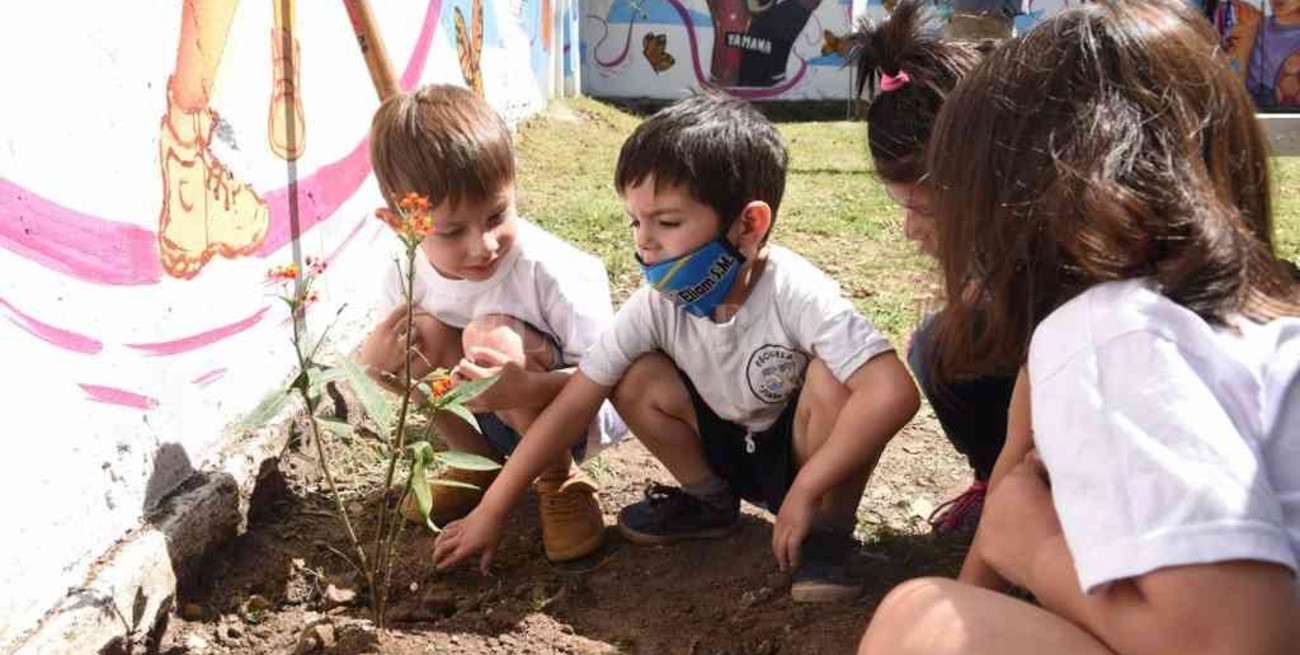 Plazas de Bolsillo en Rosario: buscan baldíos para convertirlos en espacios de recreación