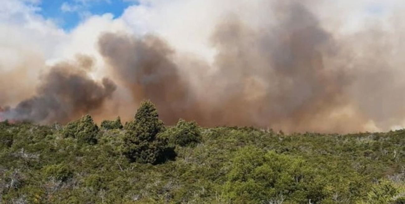 Unos 50 brigadistas trabajan para apagar un incendio en la cordillera de Chubut