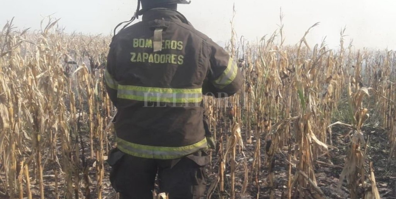Bomberos: tres horas de arduo trabajo por el incendio de un campo de maíz