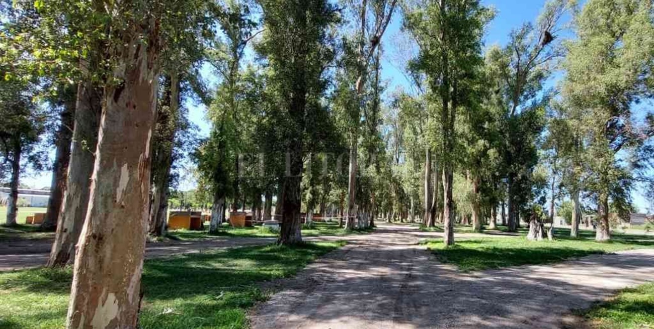 Crean en María Susana un nuevo espacio para la recreación