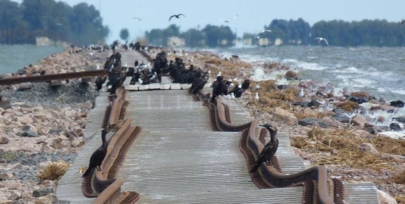 Está casi listo un tramo ferroviario del sur santafesino inutilizado durante cuatro años