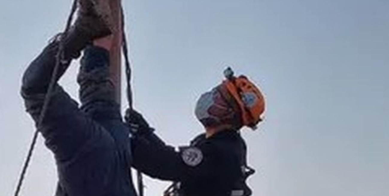 Chubut: salió a robar cables "en familia" y quedó colgado por más de dos hora