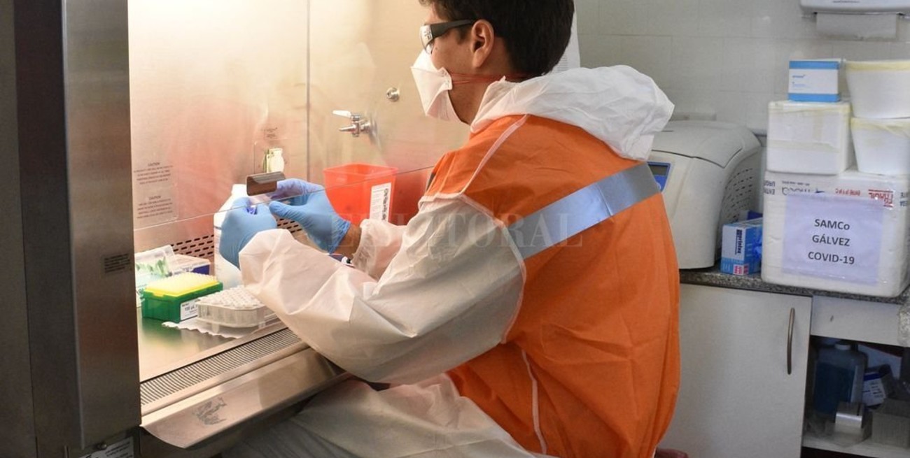 "Efecto Vera": secuenciación, palabra clave para detectar las variantes del Sars-Cov-2