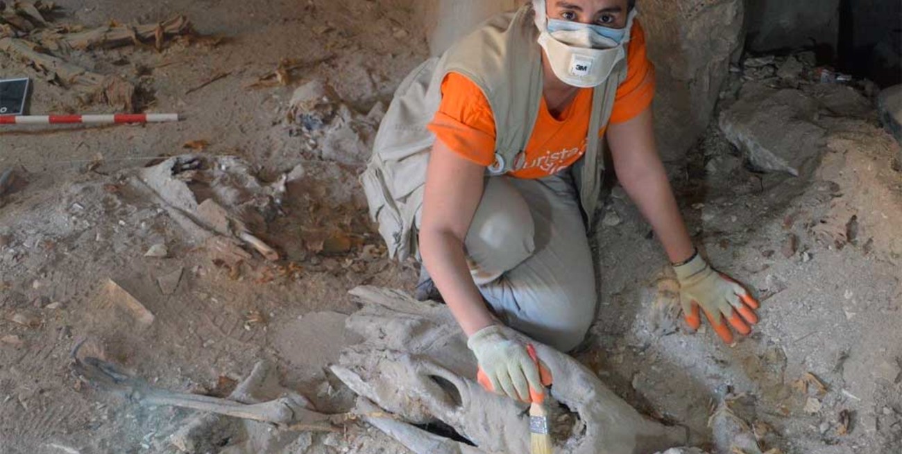 Por cuarto año consecutivo, una santafesina partió a Egipto para buscar tesoros perdidos