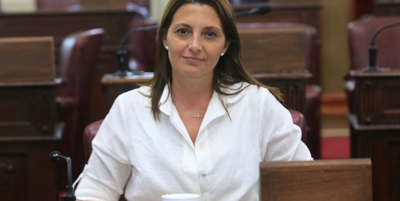 Créditos: media sanción al Programa de Mejoramiento de Viviendas para personas con discapacidad