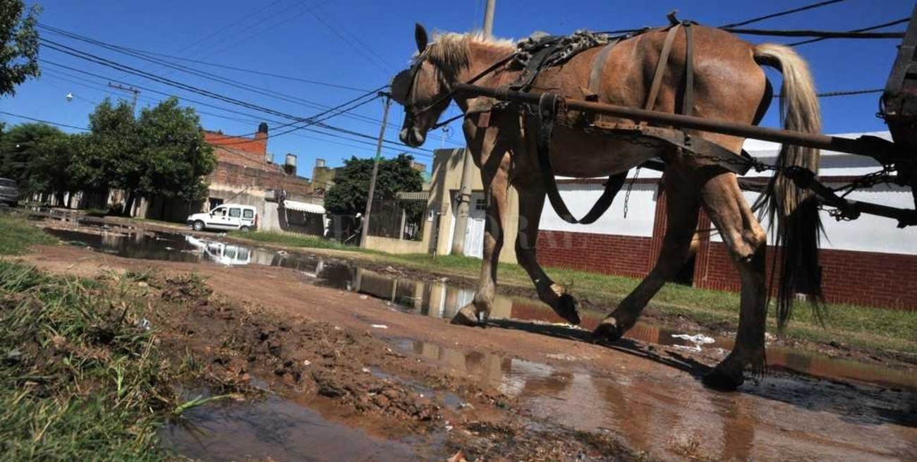Tracción a sangre: "El caballo no  puede ser la variable de ajuste"