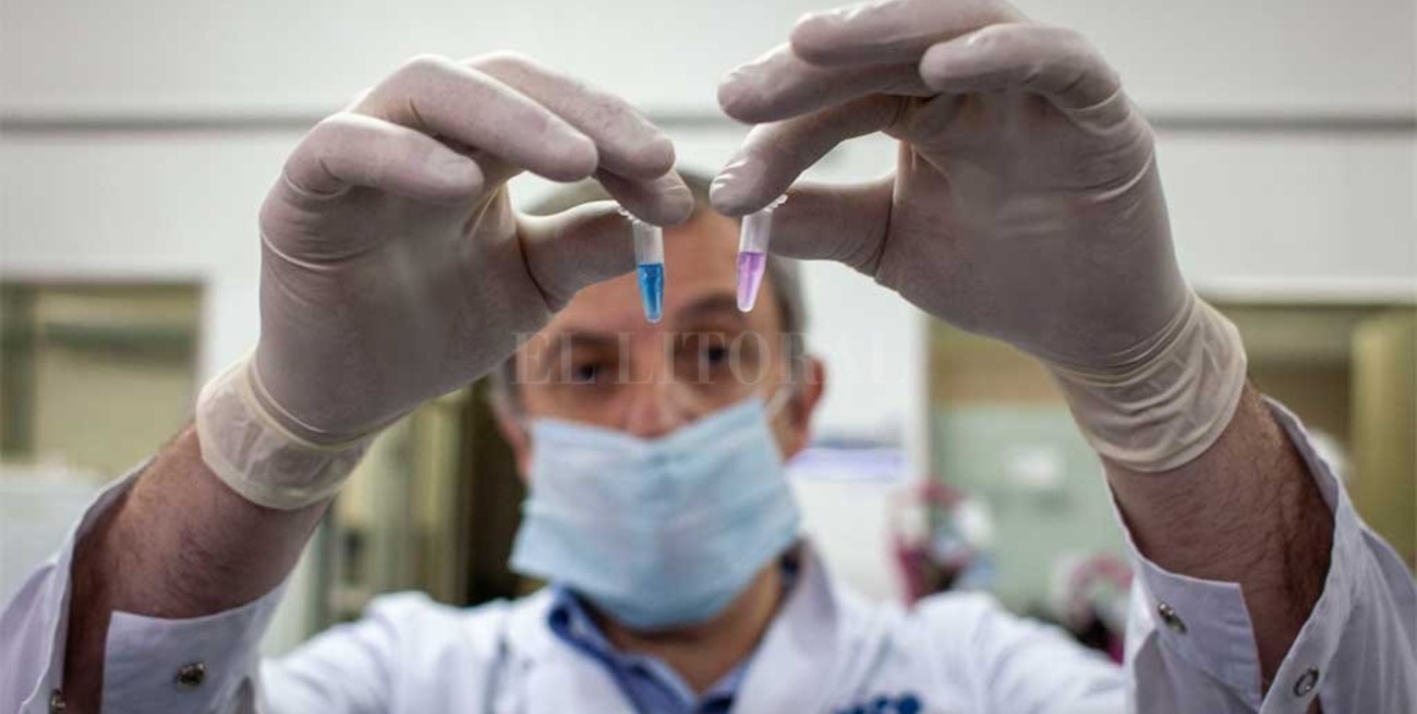 Contagios y cuidados: lo que hay que saber sobre el Covid