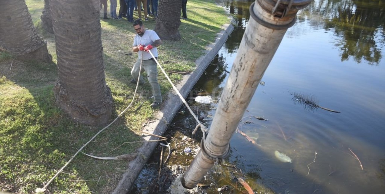 Contaminación en los lagos del Parque Garay: comenzó la limpieza