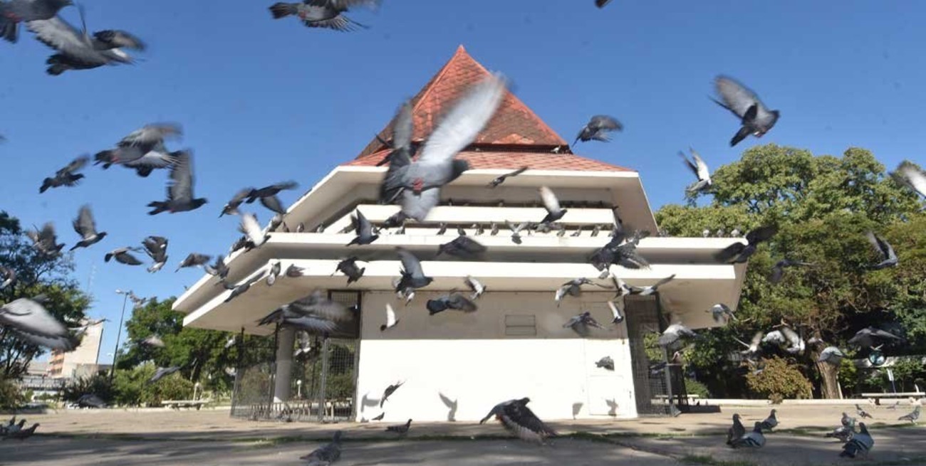 Los tesoros mejor guardados del Palomar, un emblema de la ciudad de Santa Fe