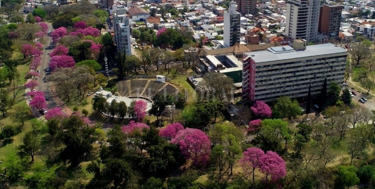 ¿Alcanzan los árboles de la ciudad de Santa Fe para atemperar los efectos del cambio climático?