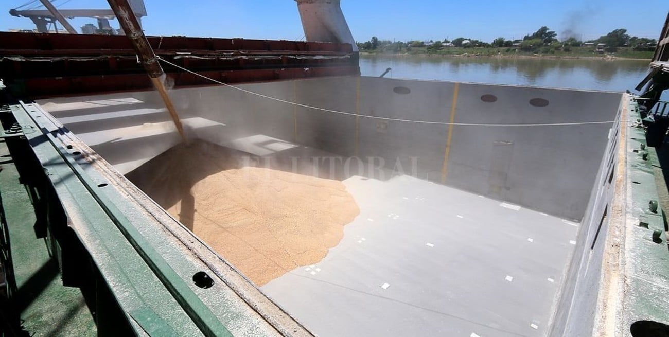 Entidades agropecuarias critican decisión de suspender registro de exportaciones de maíz