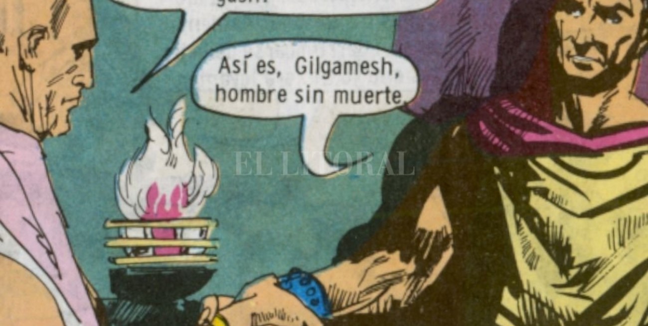 Robin Wood: esclavo, bufón, guerrero e inmortal