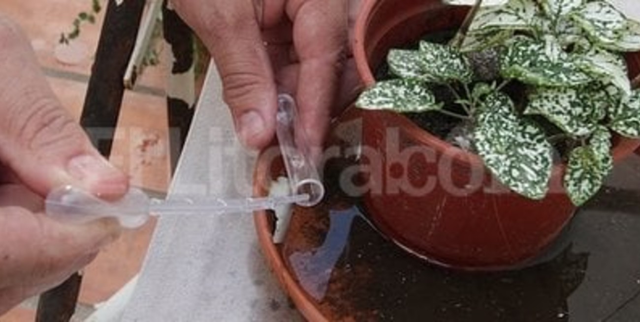 La ciudad ya se prepara para enfrentar al dengue