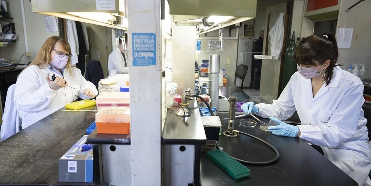 Otras 276 personas murieron y 12.230 fueron reportadas con coronavirus en Argentina