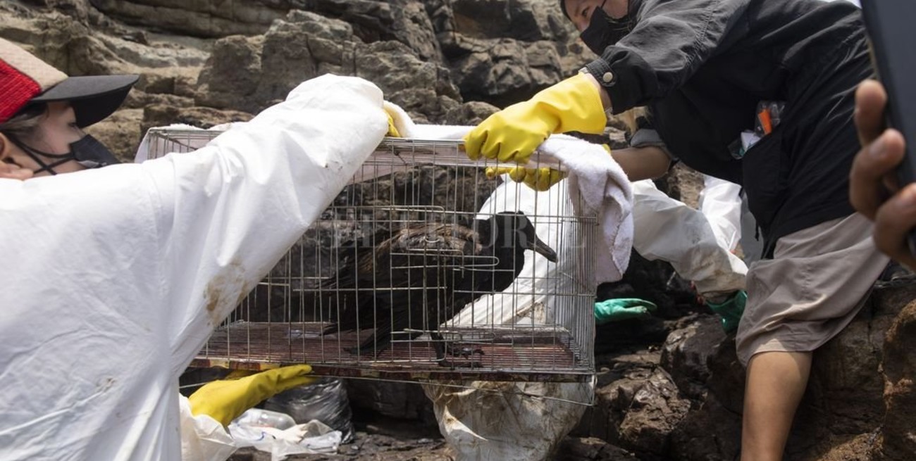 El derrame de miles de barriles de crudo en la costa central de Perú dejó un sombrío balance