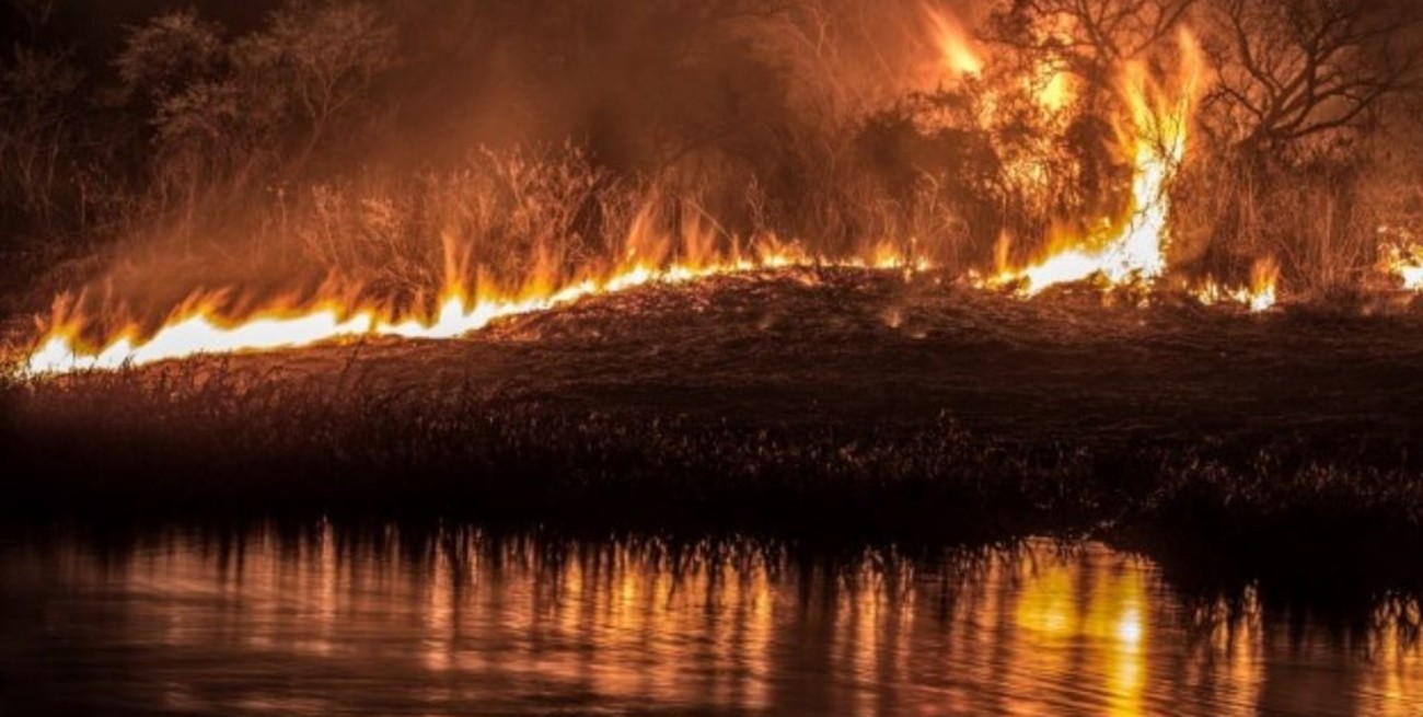 35 brigadistas y bomberos trabajan en el control del fuego sobre el delta del río Paraná