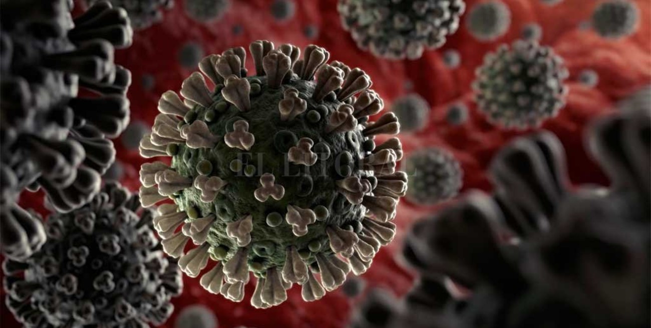 "Covid-19", el nombre oficial del Coronavirus
