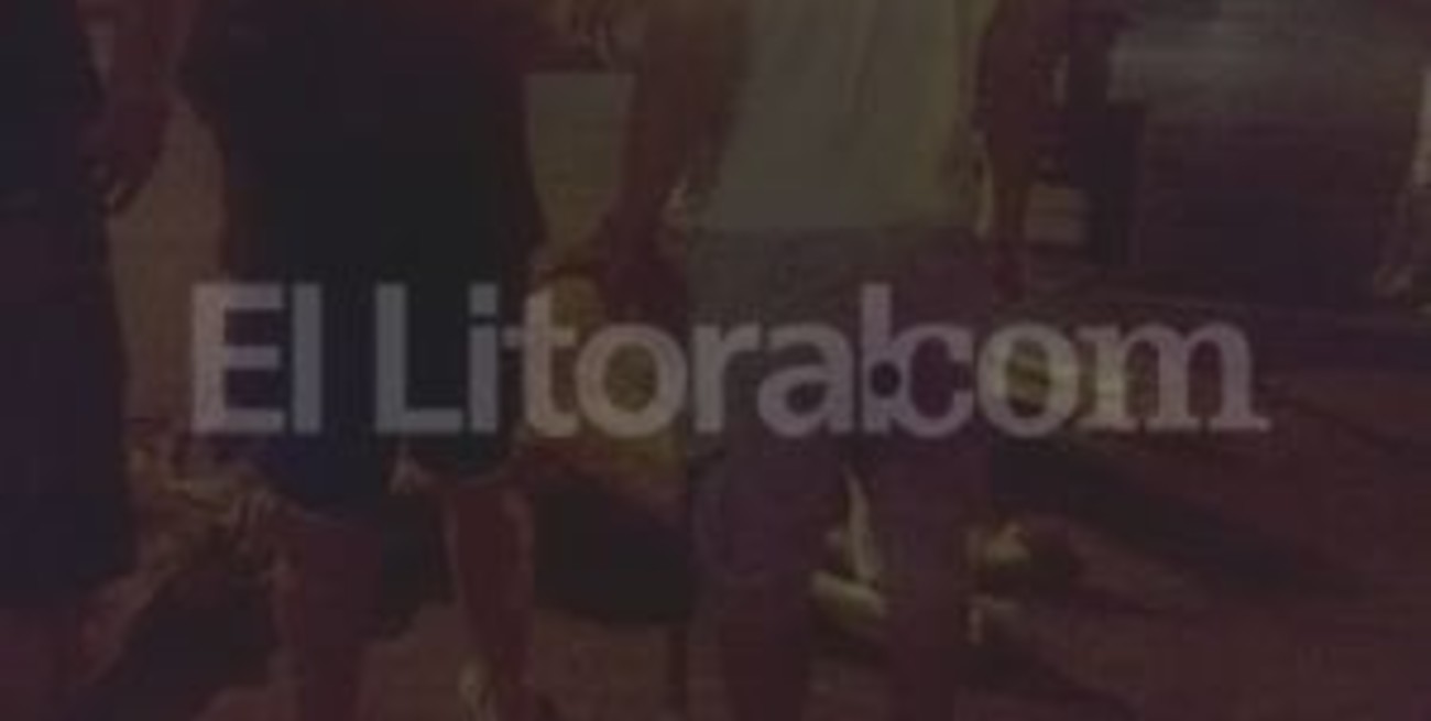 Se desplomó un caballo de un carro ciruja